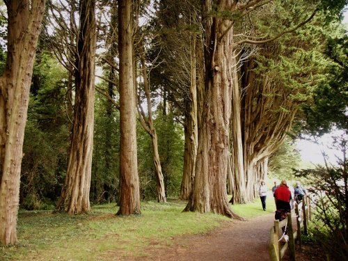 Llanfairpwllgwyngyll