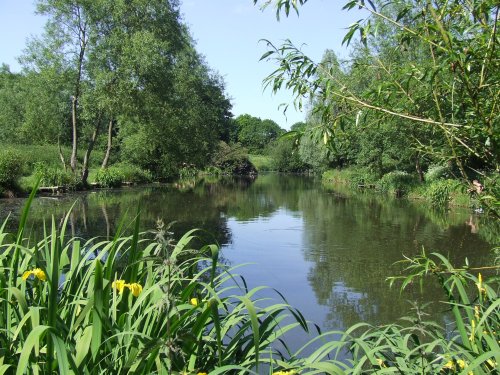 Peace and Tranquility