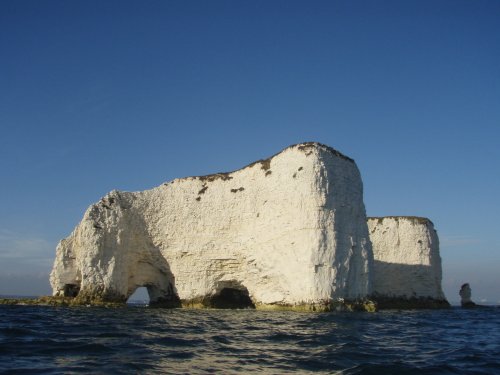 Looking up, Handfast Point
