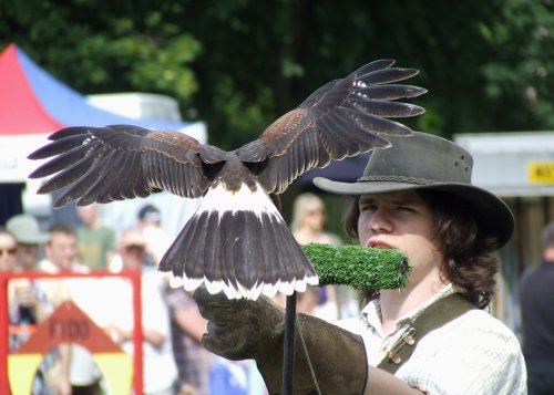National Wildflower Centre, Liverpool