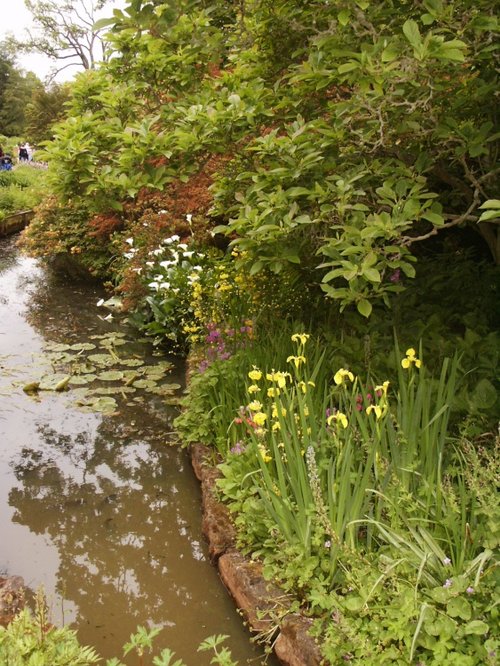 RHS Garden Wisley