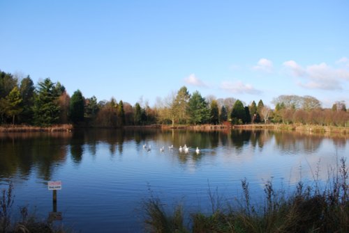 The lake at Bodenham Arboretum