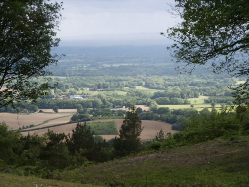 Leith Hill