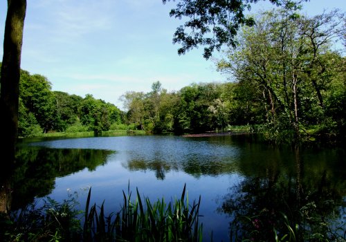 Lake view at Renishaw Hall