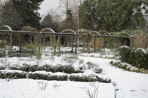 The Rye garden whilst snowing