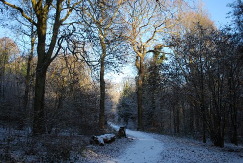 Saltwells in December