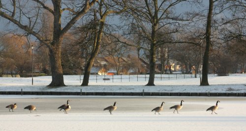 East Park Hull 3-1-10 004