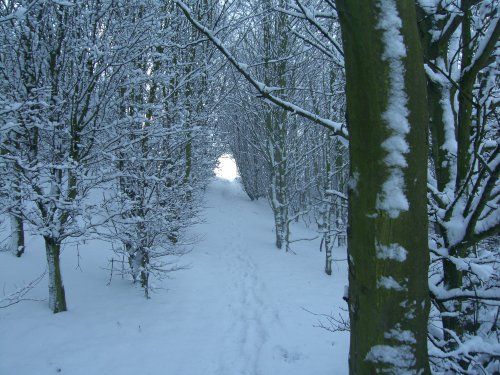 Carr Lane, Ulley In Winter