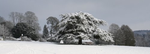 A view over Killerton