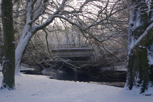 Preston Old Rd bridge from just inside Witton Park