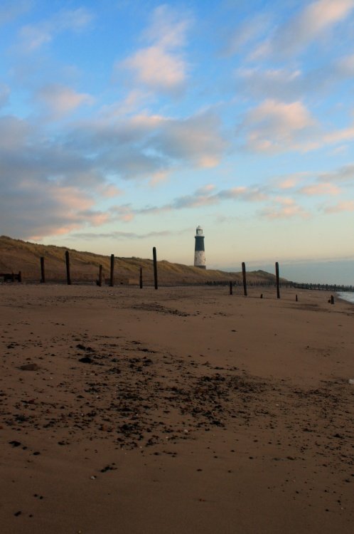Spurn Point
