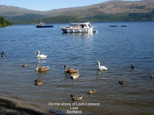 Luss