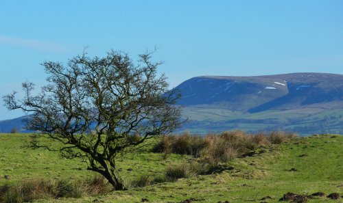 Pendle