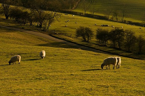 Burton Dassett Country Park