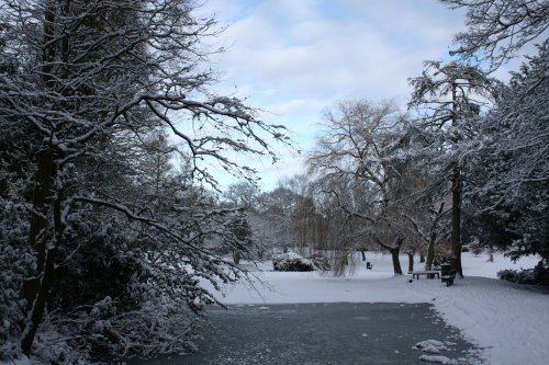 Grove Park, Harborne