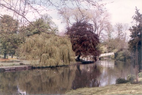 Beddington Park and the River Wandle 1986