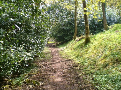 Otterhead Estate & Lakes