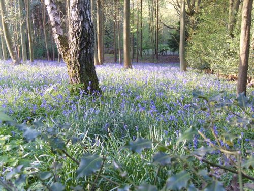 Another favourite place