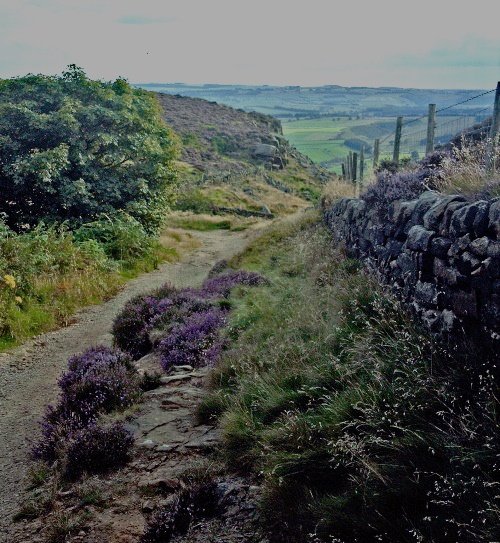Trackway down Curbar Edge, Derbyshire