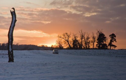 An old treestump in the sunset