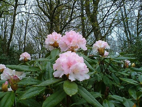 Otterhead Estate & Lakes