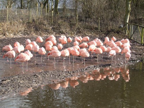 Wildfowl & Wetlands Trust Martin Mere