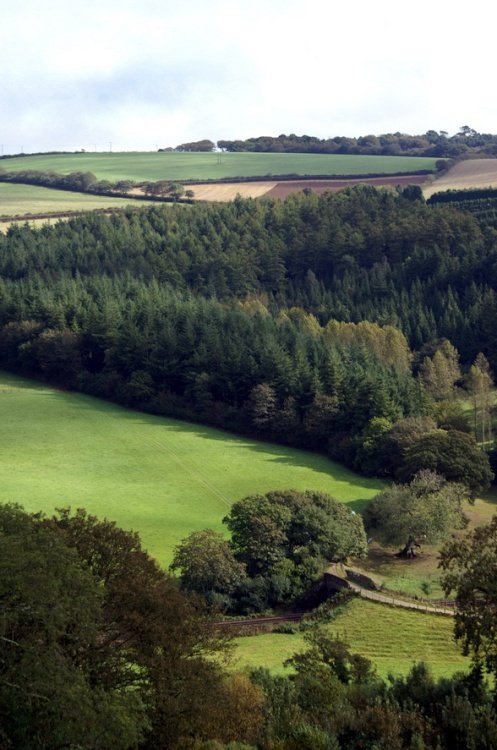 Scene from the top of the Castle.