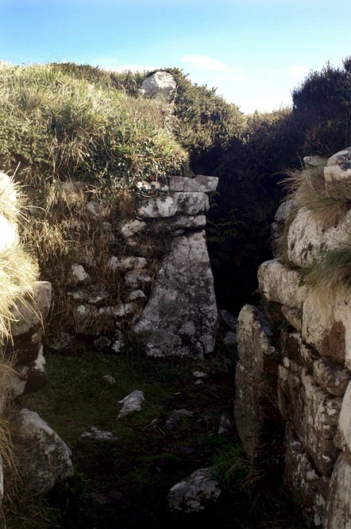 Chysauster Ancient Village