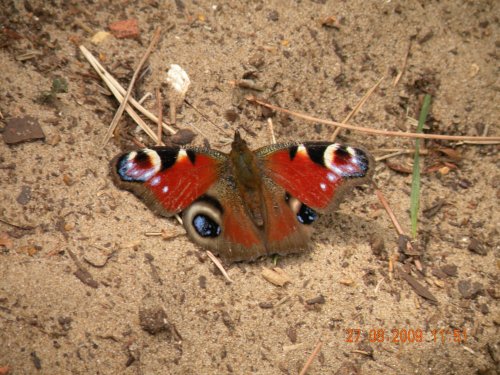 Holkham Nature Reserve