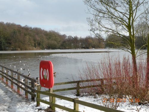 Rufford Country Park