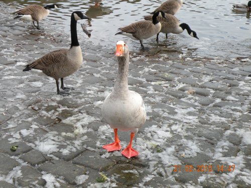Rufford Country Park