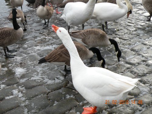Rufford Country Park