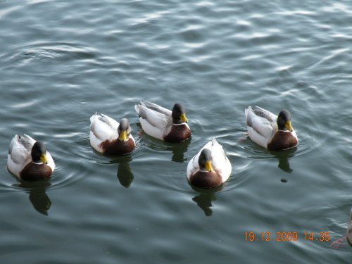 Rufford Country Park