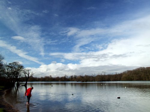 Salhouse Broad on a Winter's day