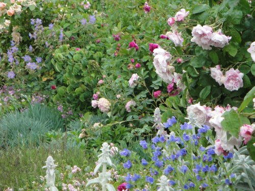 Goodnestone Park Gardens