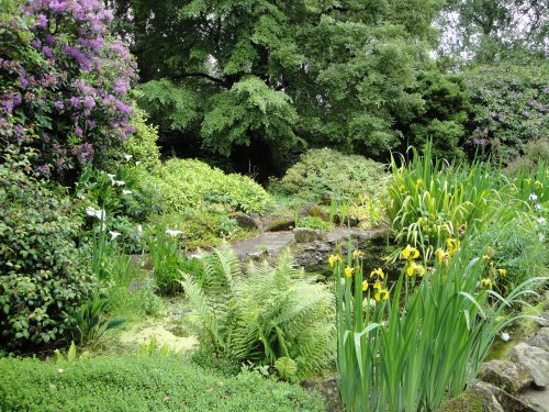 Goodnestone Park Gardens