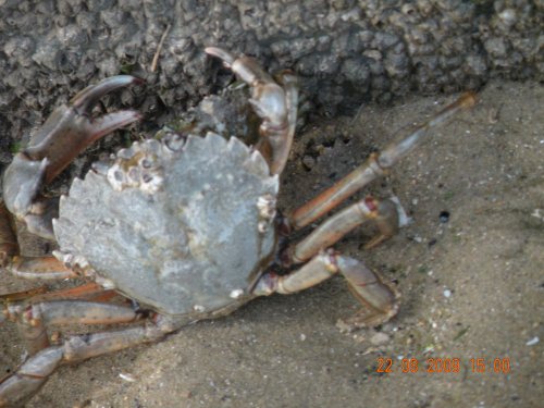 Titchwell Marsh Nature Reserve