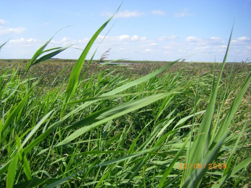 Titchwell Marsh Nature Reserve