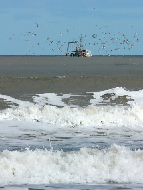 Scarborough 4 4-3-10