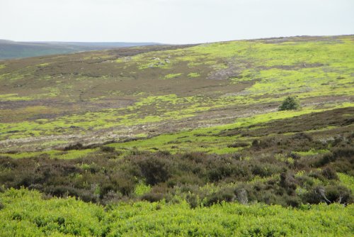 North York Moors National Park