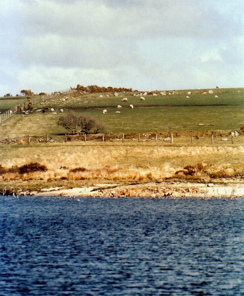 Bodmin Moor