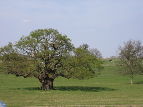 Richmond upon Thames