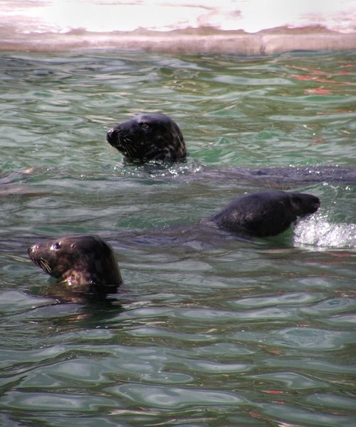 Must be nearly grub time.