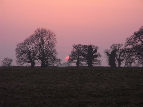 March sunset over Westonbirt 2009
