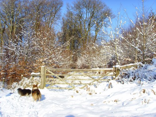 Heavens Pearly Gates?