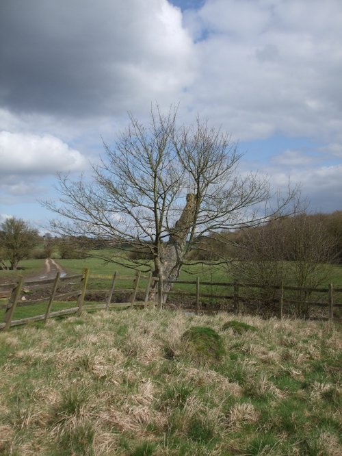 Looking towards Braunston from Wolfhampcote Church