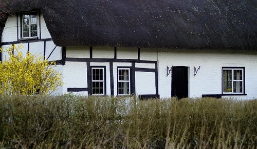 Thatched house.