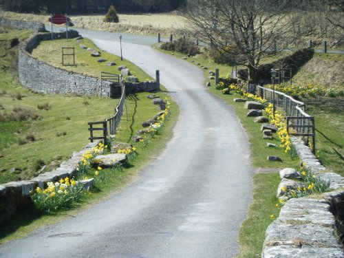 Dartmoor National Park