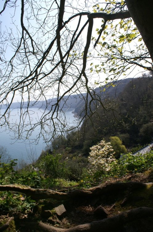 View from the road into Clovelly.