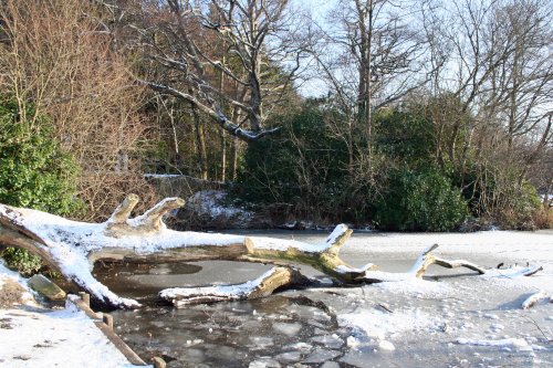 Stover Country Park & Nature Reserve, Devon